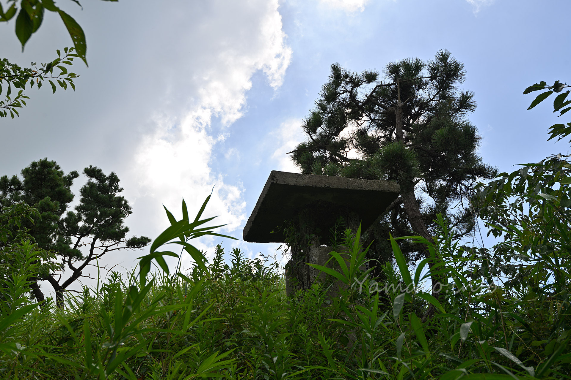 通風孔らしきものが、雑草の生い茂った中にありました。 夏なので雑草に埋もれてしまっているのが残念。