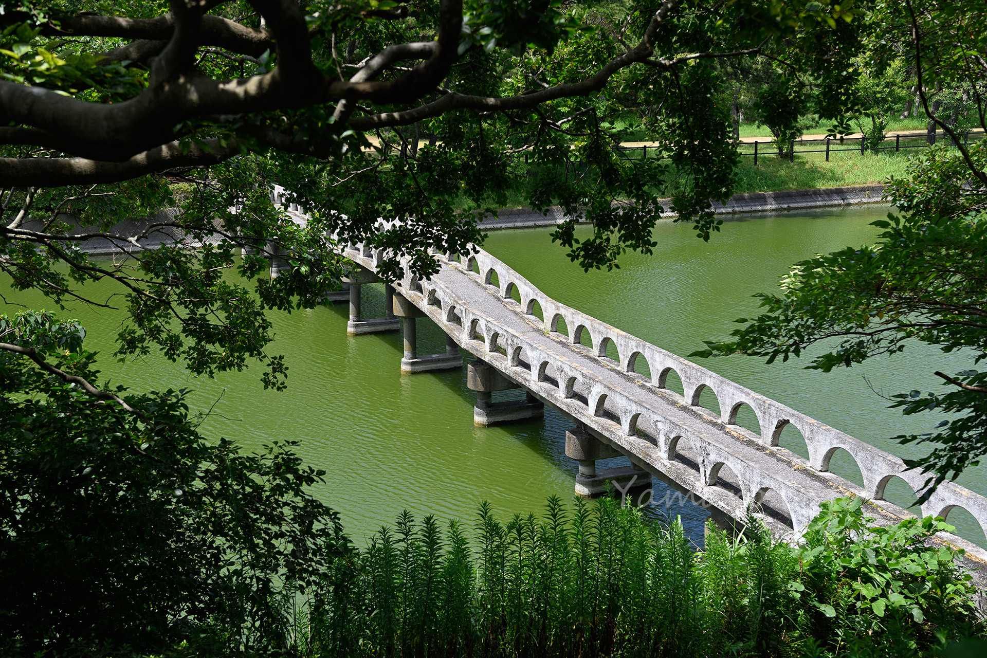 池をまたぐ橋は、なんとも古めかしい感じで、これも戦時中に作られたものなのか？