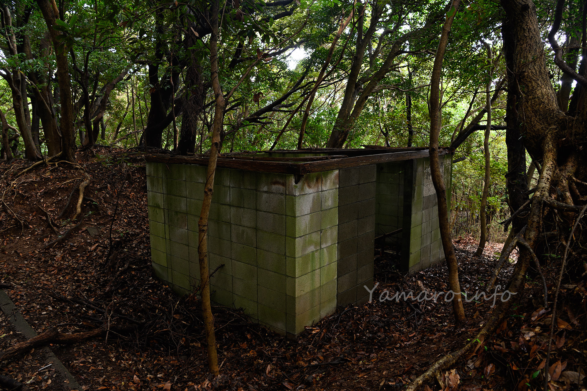 最初の建物発見。屋根がなくなった、ブロック塀の建物。