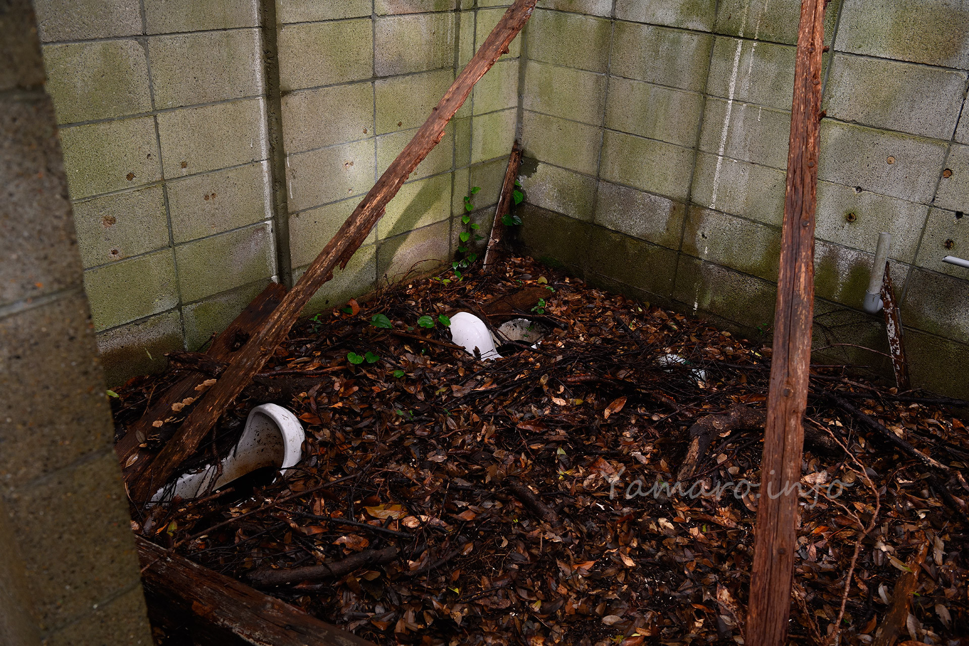 トイレでした。当然和式のみ。