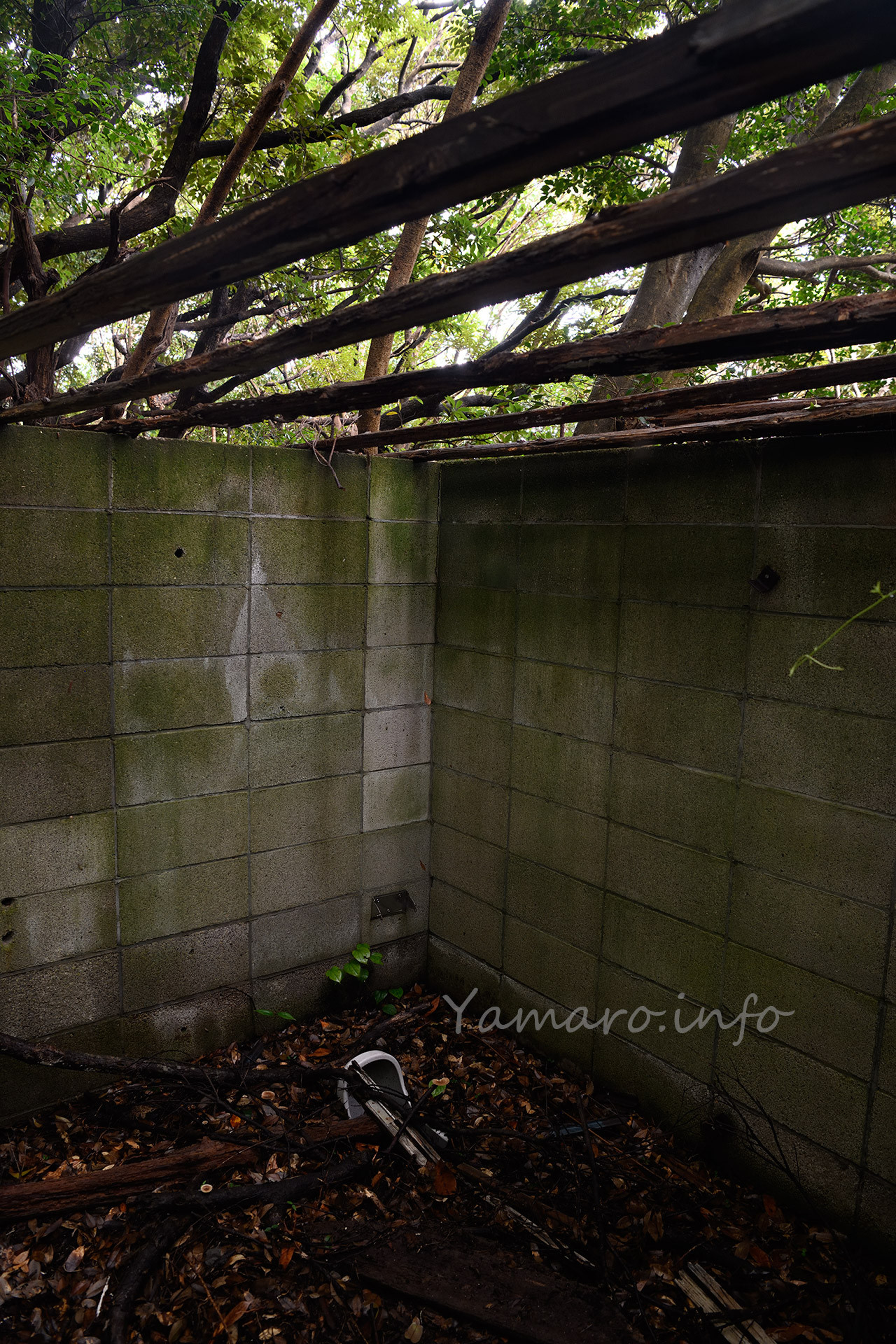 屋根がなくなり、すっかり枯れ葉に覆われたトイレ。