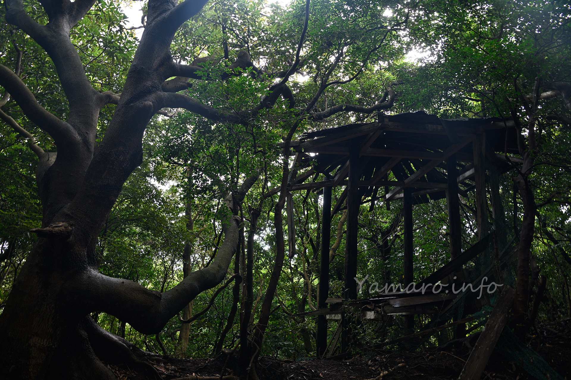 鳥かごがあった場所なのか？　かなり崩壊が進んでいます。