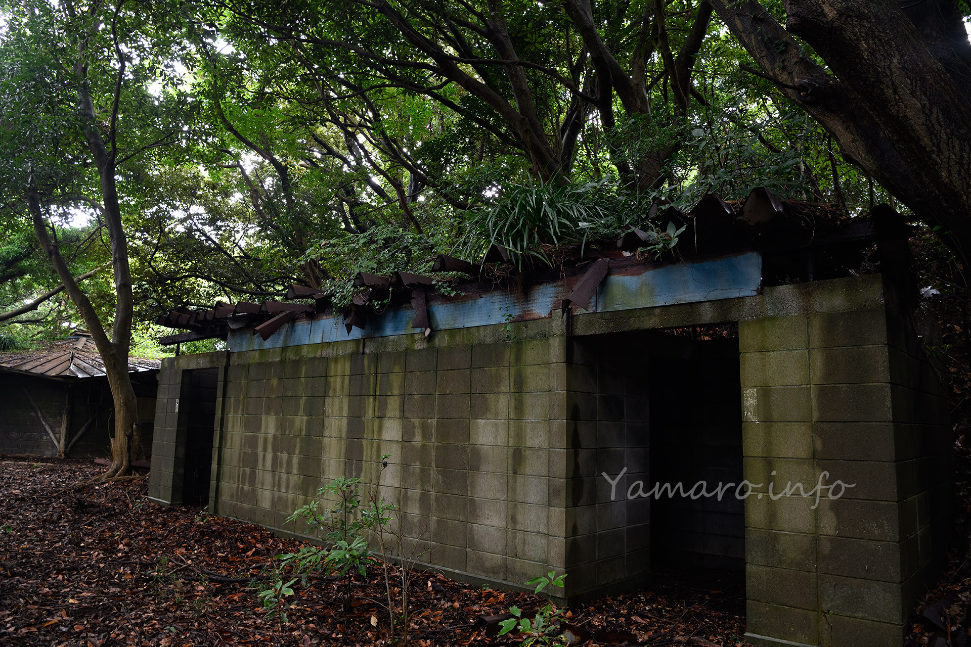 トイレらしき建物が再び。ここもブロック塀。