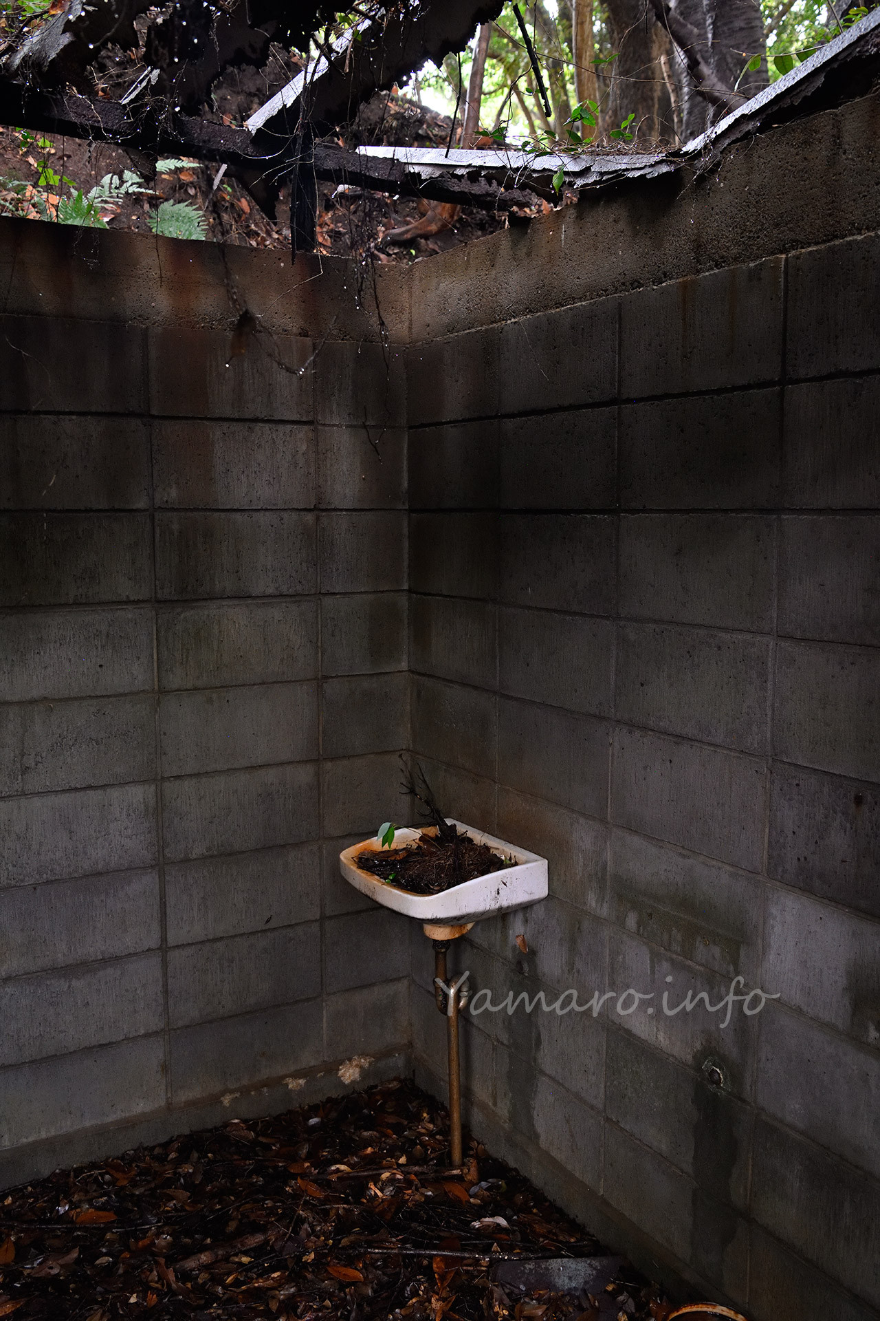 洗面台。屋根の一部は崩壊。