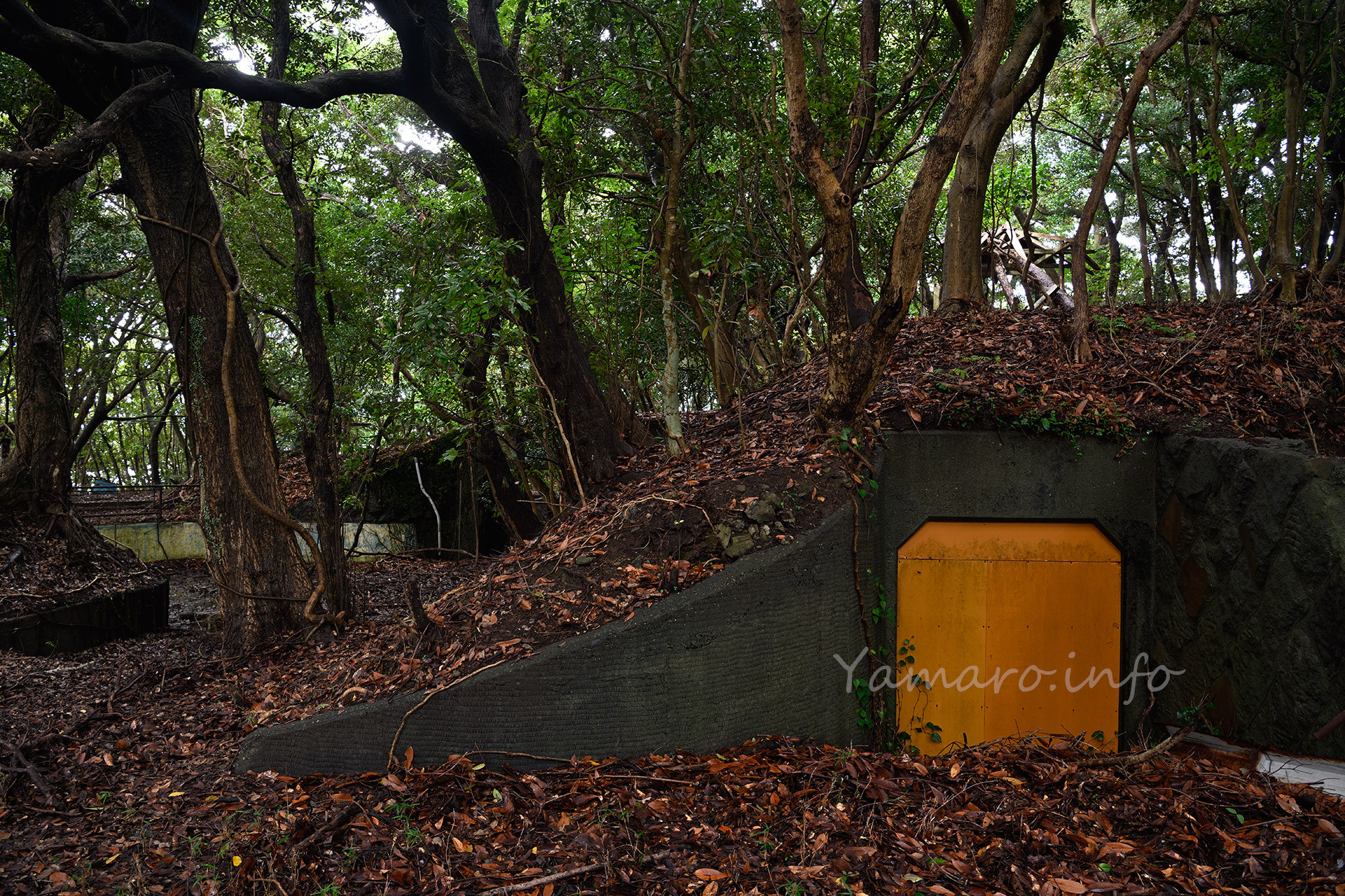 弾薬庫トンネル、こちら側はしっかり封鎖。2010年にボヤ騒ぎがあり、以降ここには蓋がされたと聞きます。