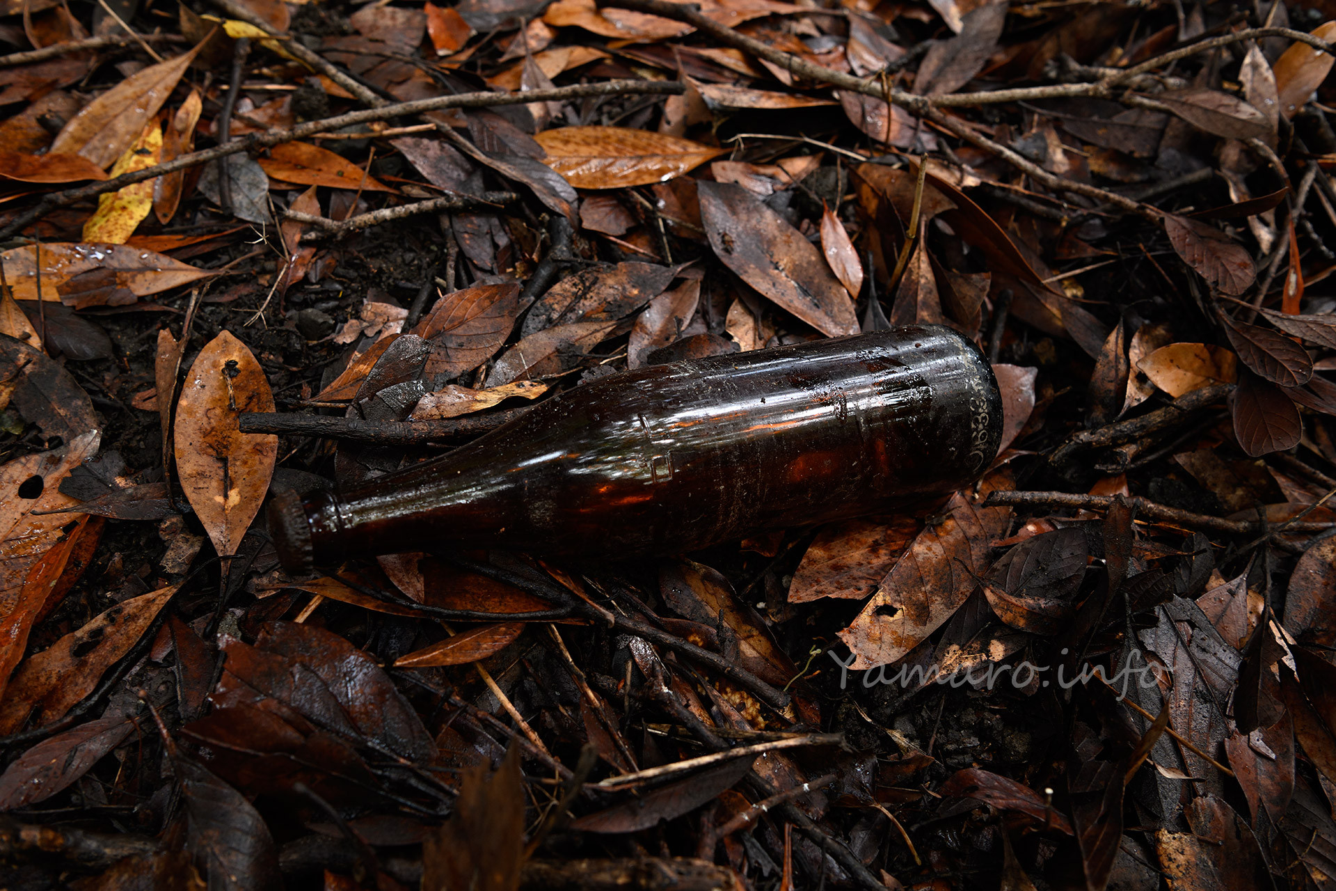 王冠の着いた瓶ビール。中身は半分くらい残っていたけど、ラベルがなく銘柄不明。