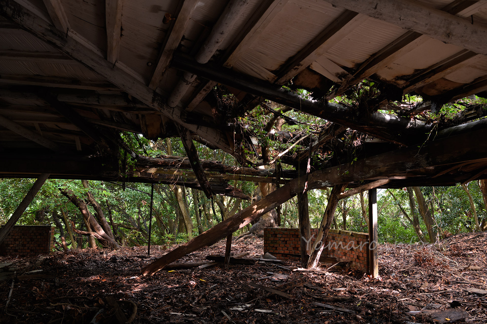 屋根の一部が欠損。ここがボヤで燃えた場所らしいが、すでに9年経過して、燃えたのか自然崩落なのかが分からなかった。