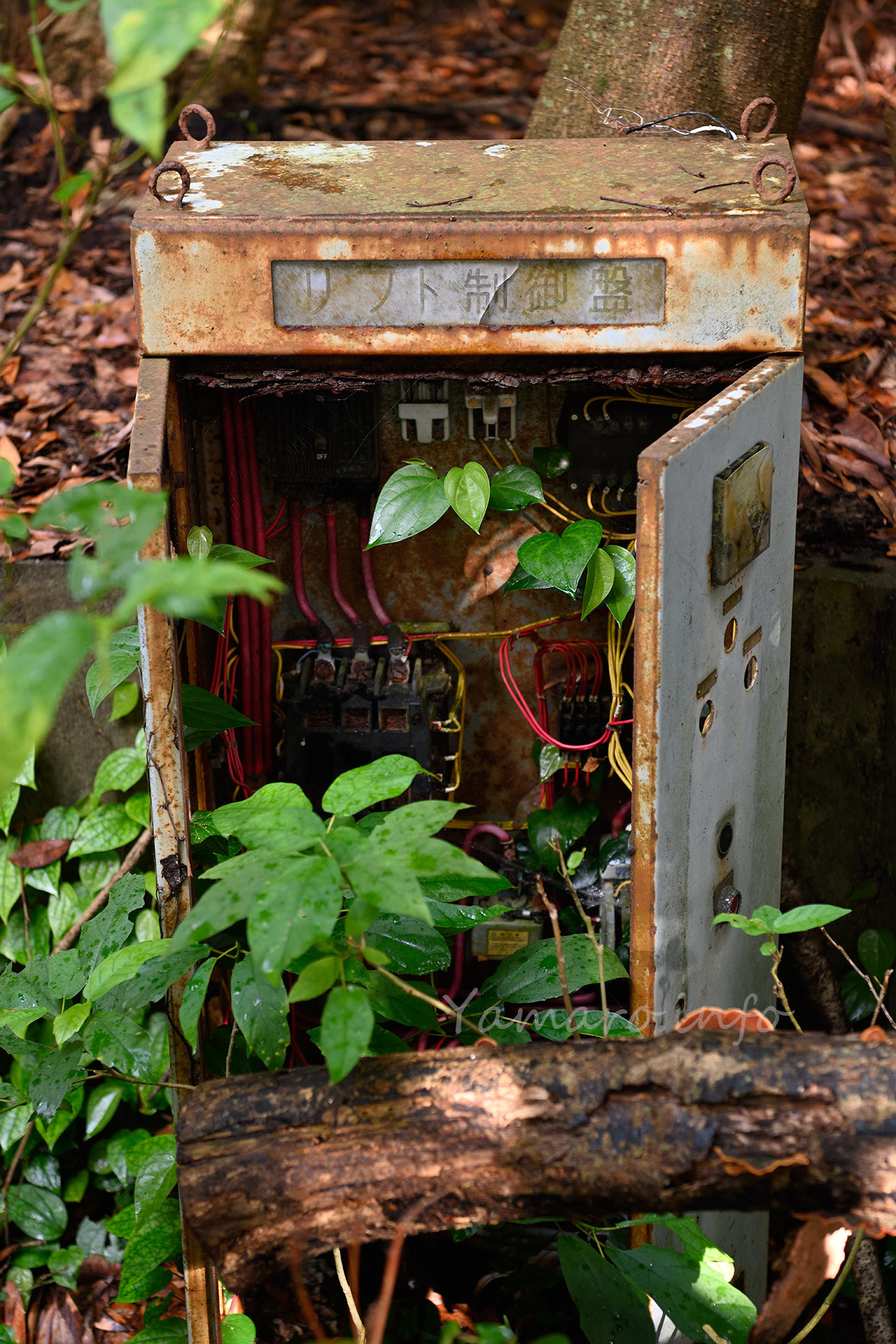 リフト制御盤。配線が整っていて、仕事ぶりの良さが伺えます。