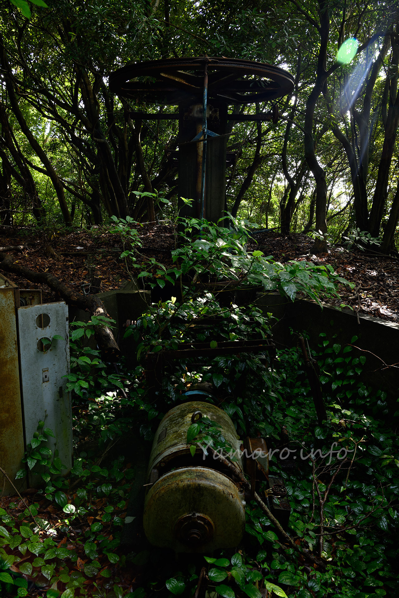 差し込む光と、緑に飲まれるリフトの装置一式。