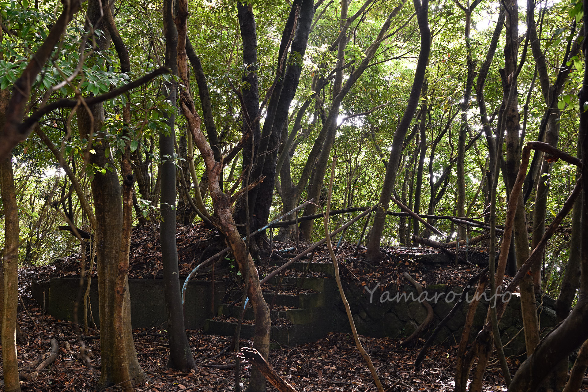 砲台跡の展望台？　今は木々に覆われ視界不良に。