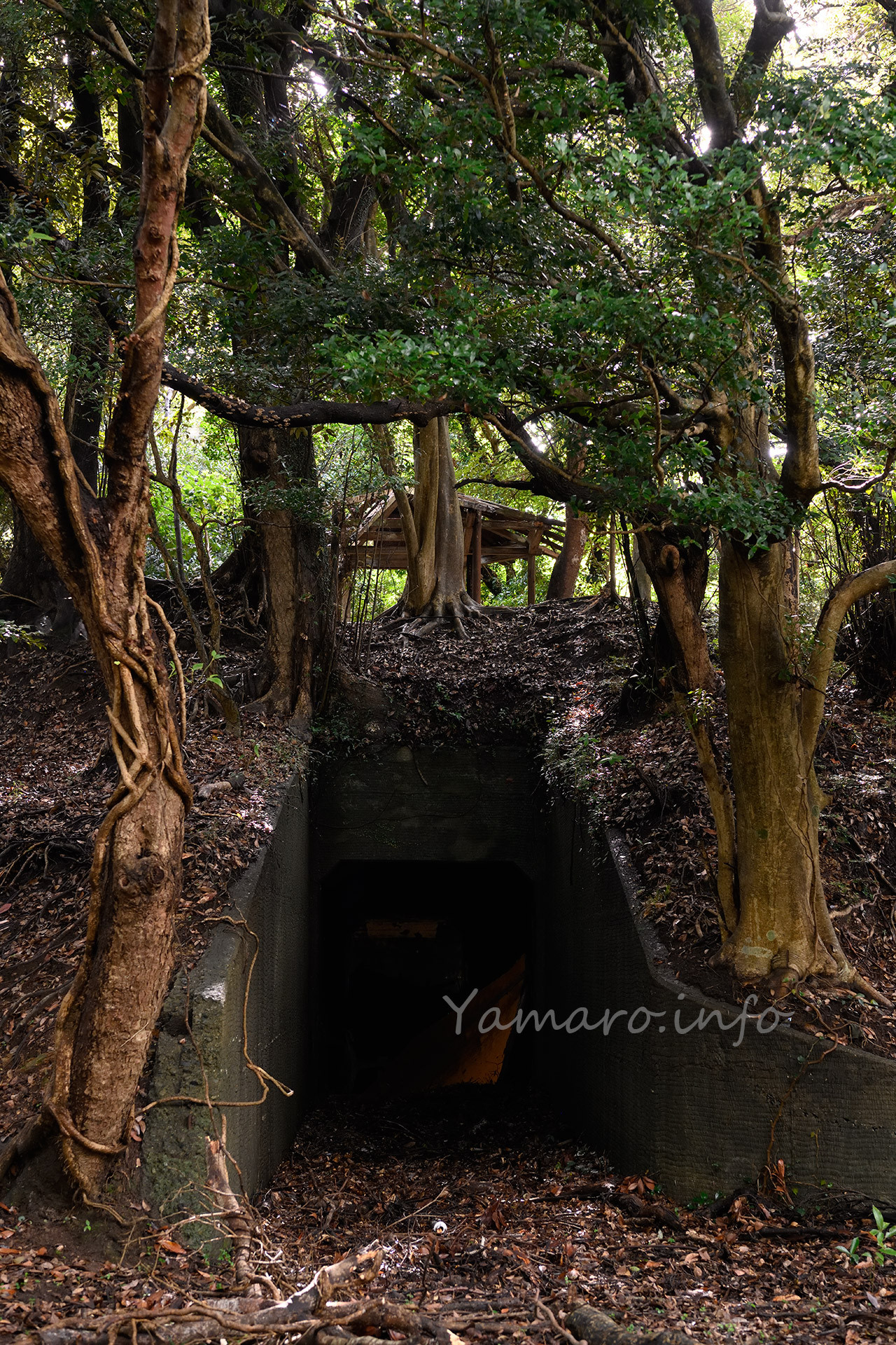 それでは砲台山ハイランドを後にします。 見るべきものは少ないが、リフトが個人的にツボでした。