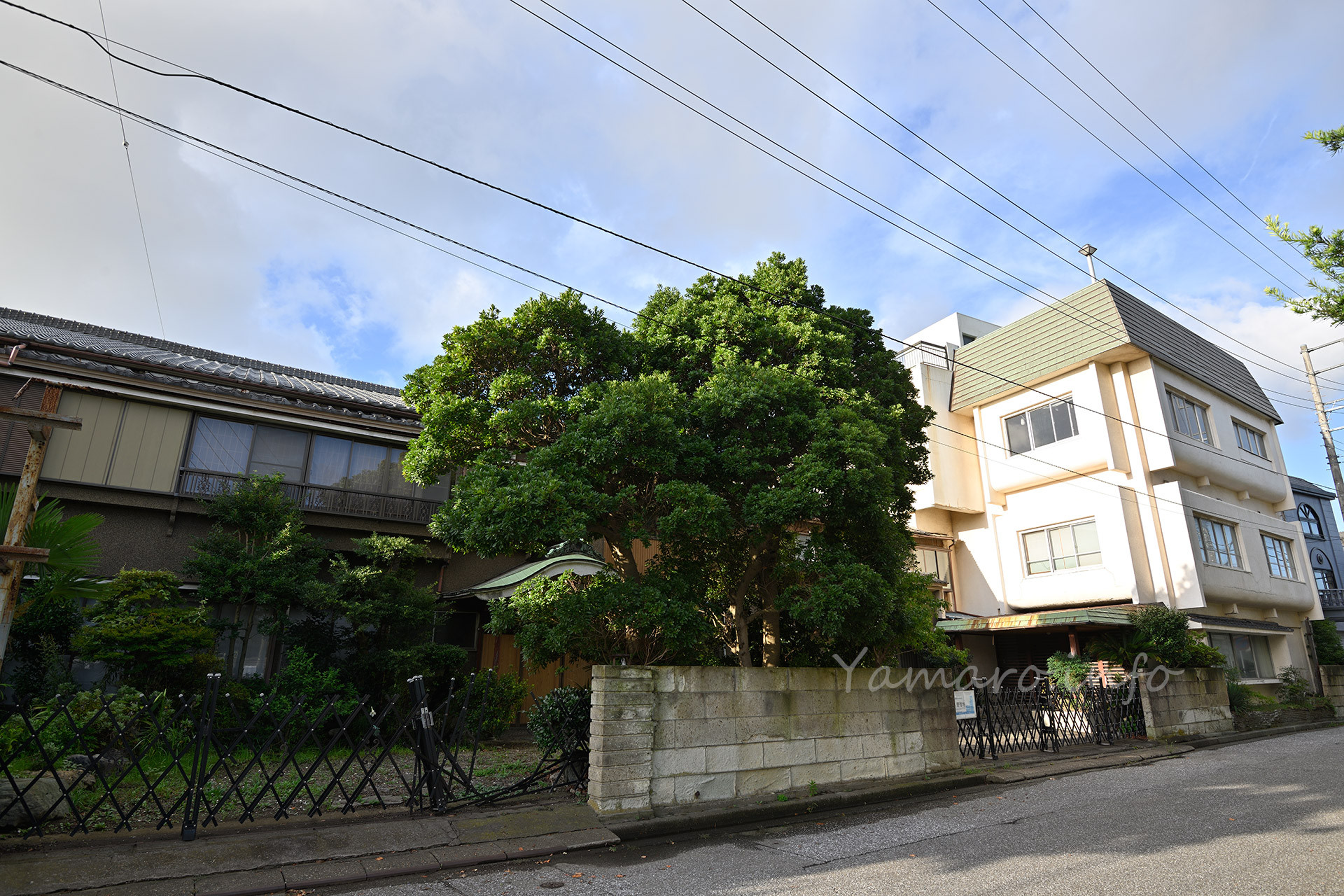 ホテル向かいの廃旅館。ここも2015年頃までは営業していましたが、廃業後は管理物件に…。以上、千葉廃墟撮影ツアーでした。