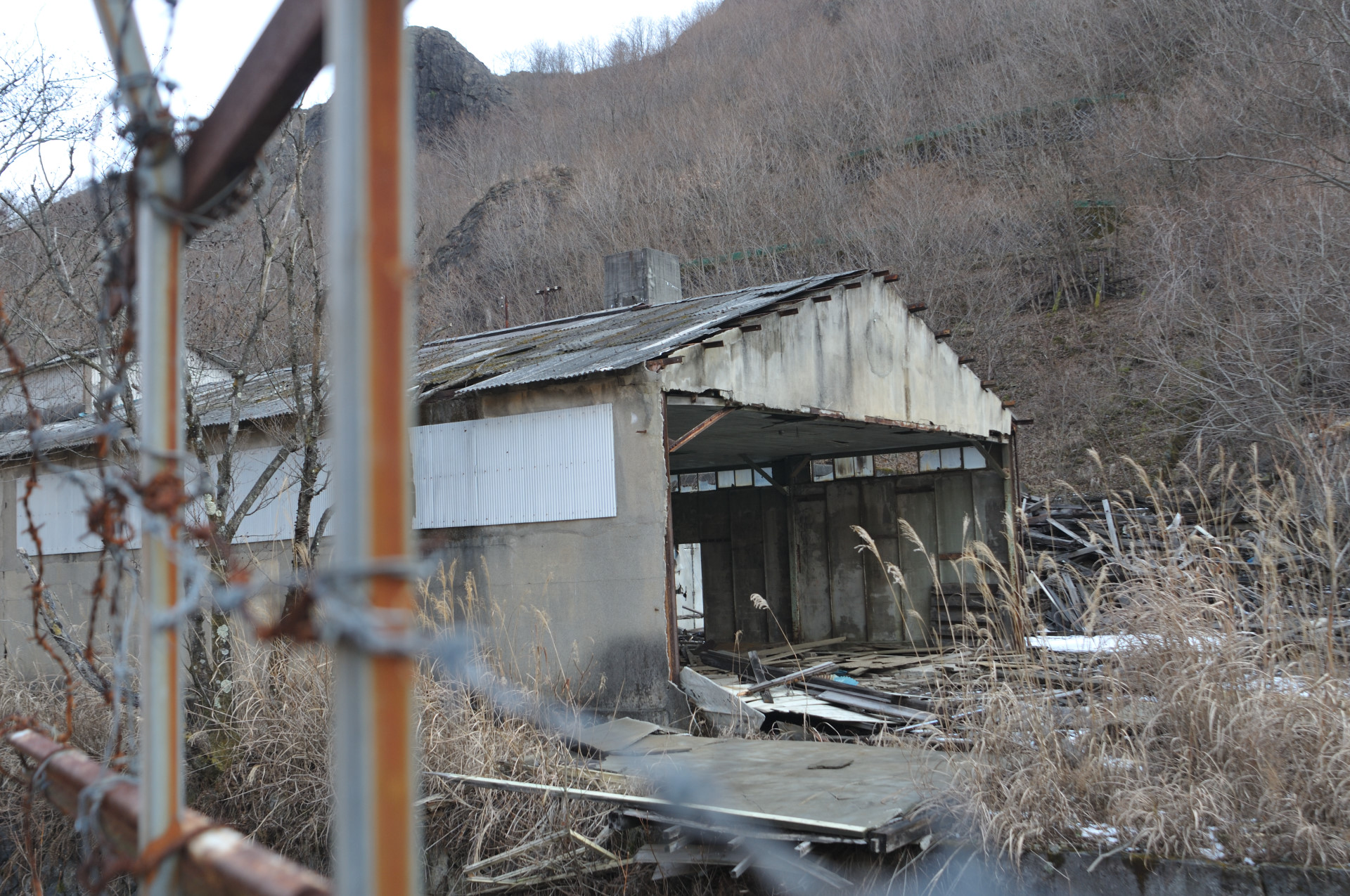 _DSC0521