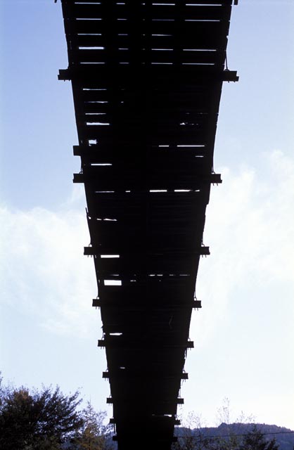 20051113-c11posi