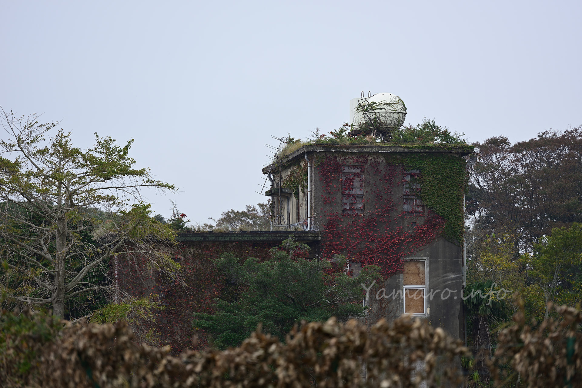 機罐場の建物。手前も奥も、2011年時点よりさらに壁や屋根が失われていた。 骨組みだけになるのも時間の問題か。 これ以上は近づけず、当然中の様子も窺い知ることはできない。