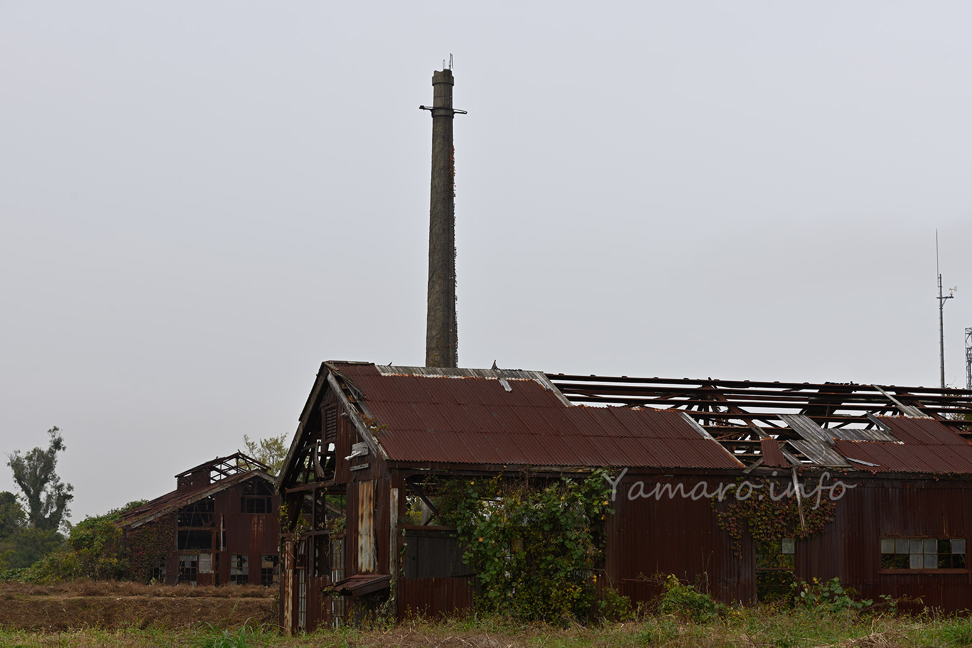 霞ヶ浦。敵時に霧が出ていて幻想的だった。この場所は現在、水環境保全再生研究ステーションの施設の一部となっている。