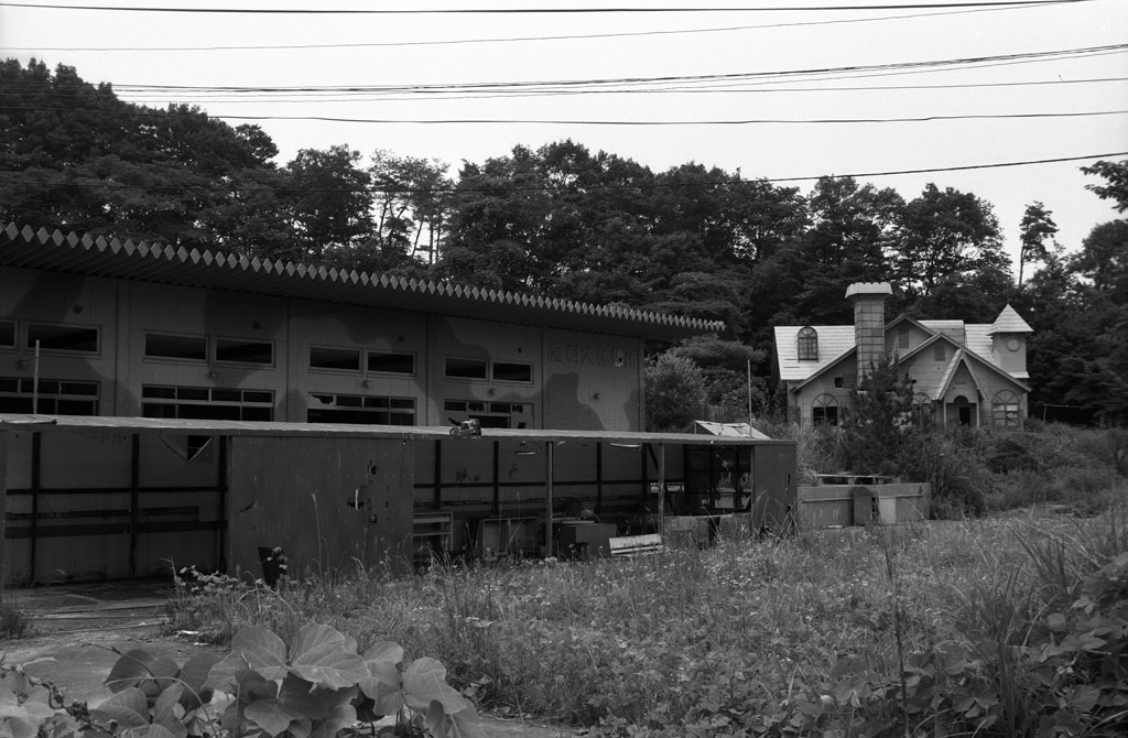 t-gland2006_11.jpg